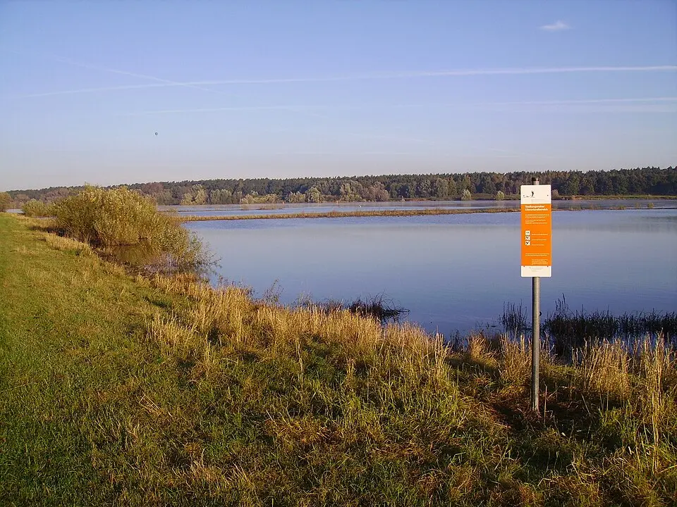 Elbmarschen