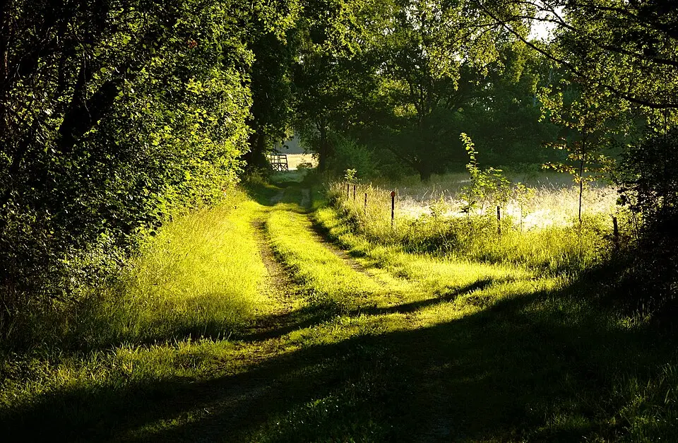 Eldgarnsö naturreservat