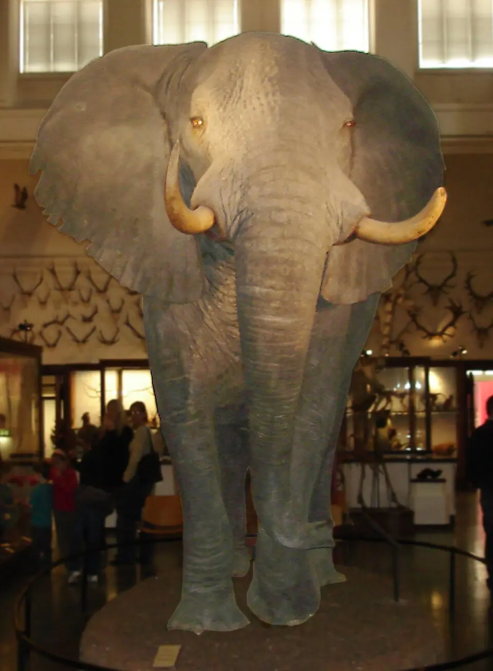 Göteborgs Naturhistoriska Museum