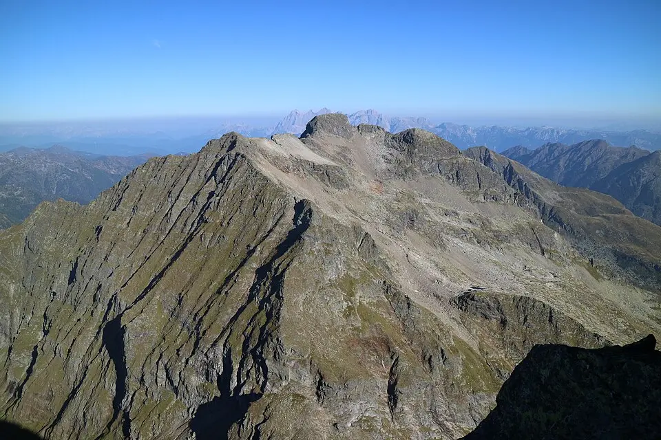 Pfeifer
