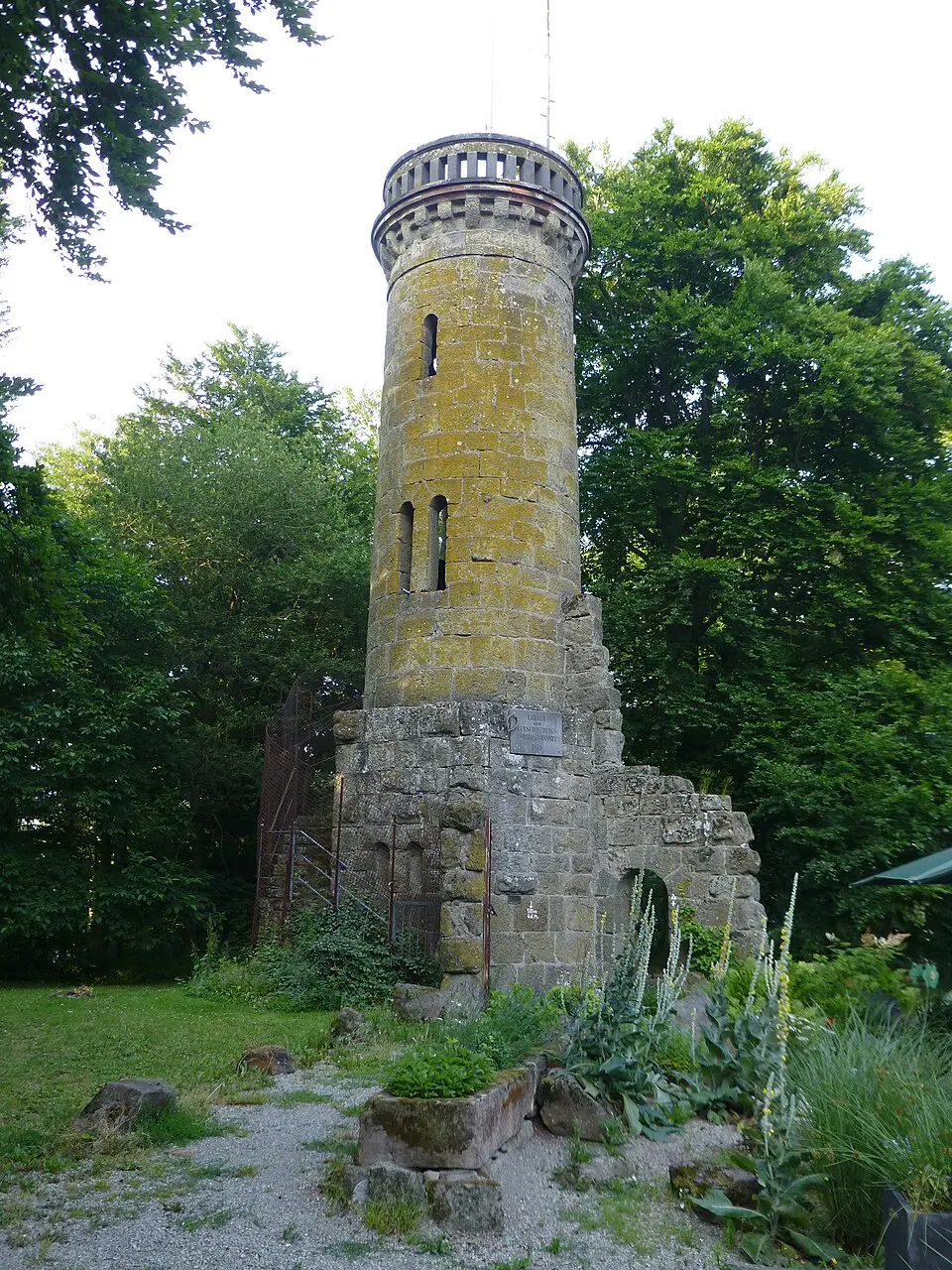 Elfbuchenturm