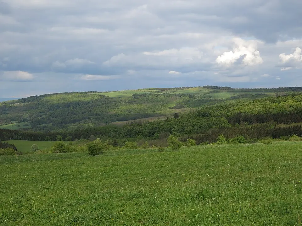 Ellenbogen