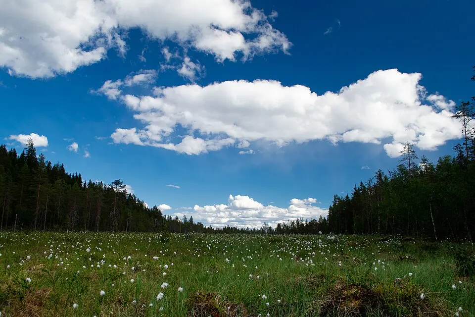 Oringsjö