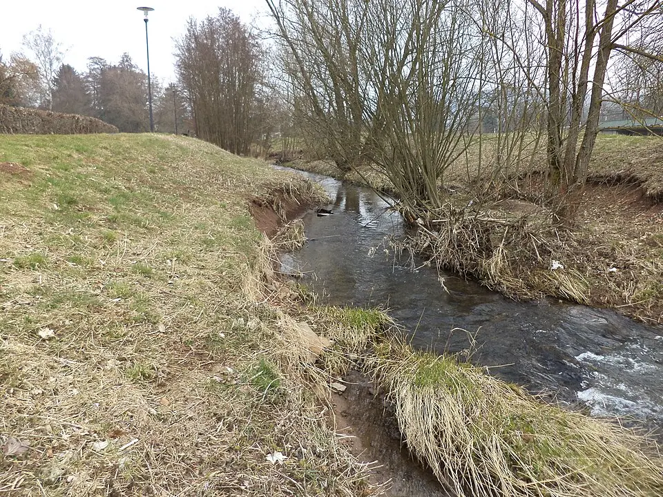 Elmbach