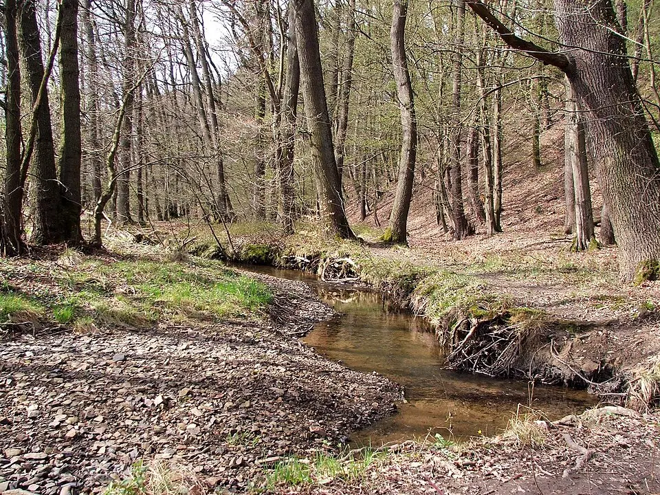 Elsebach