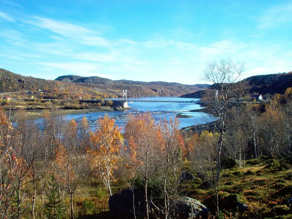 Fjord Bøk