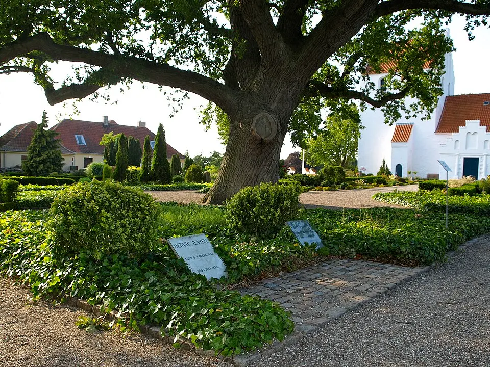 Landet