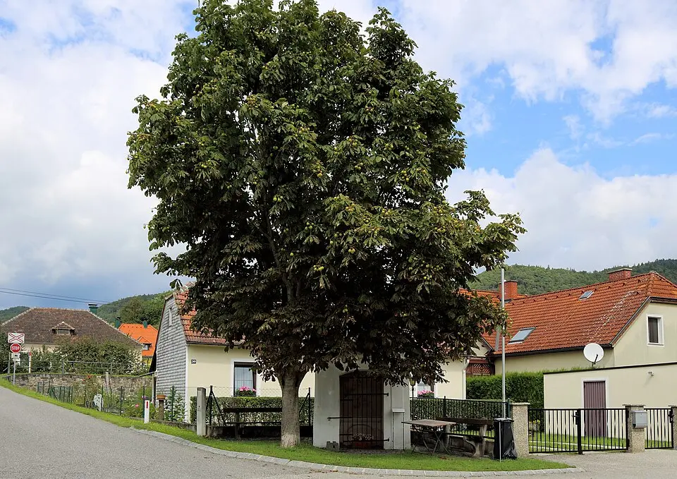 Bildstock