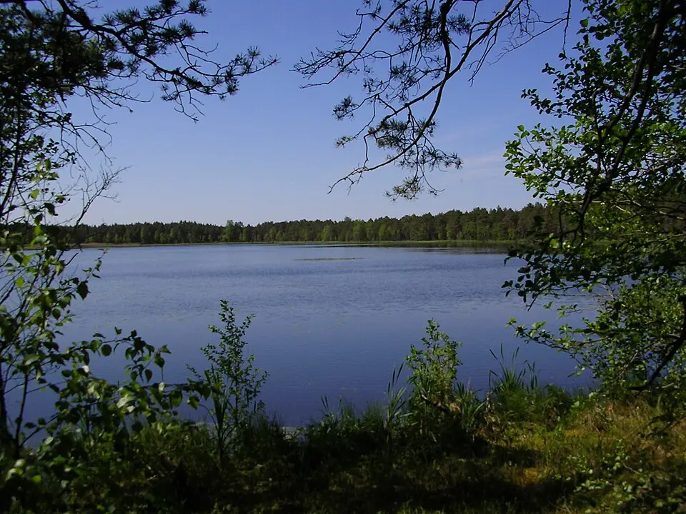 Männikjärv