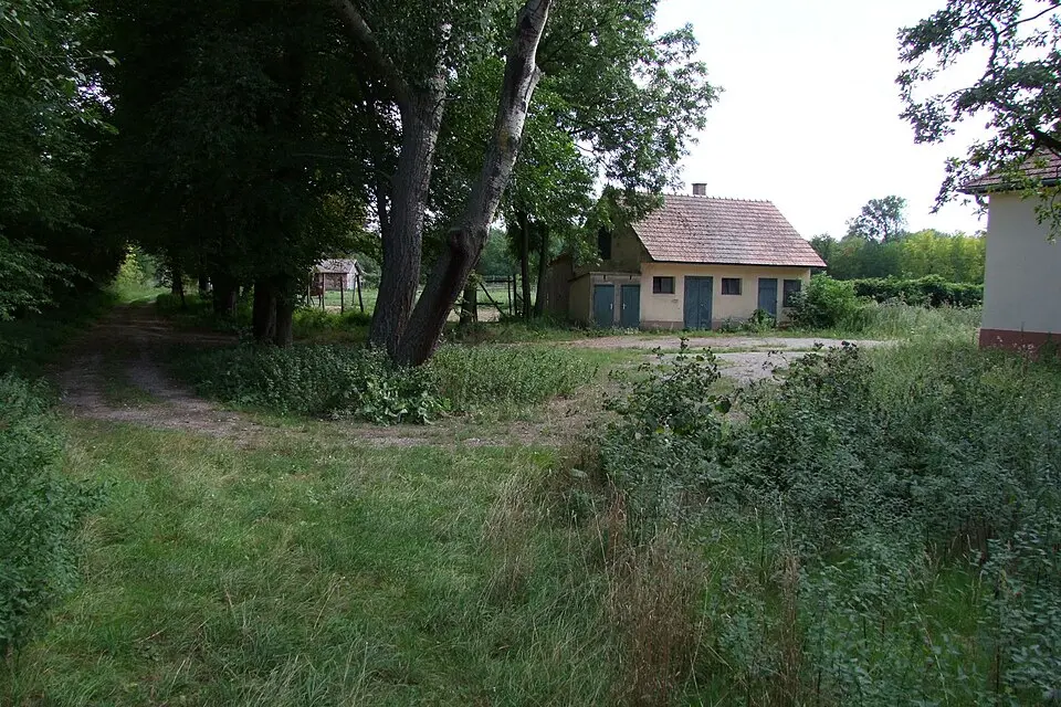 Wüstung und Hausberg Grafenweiden