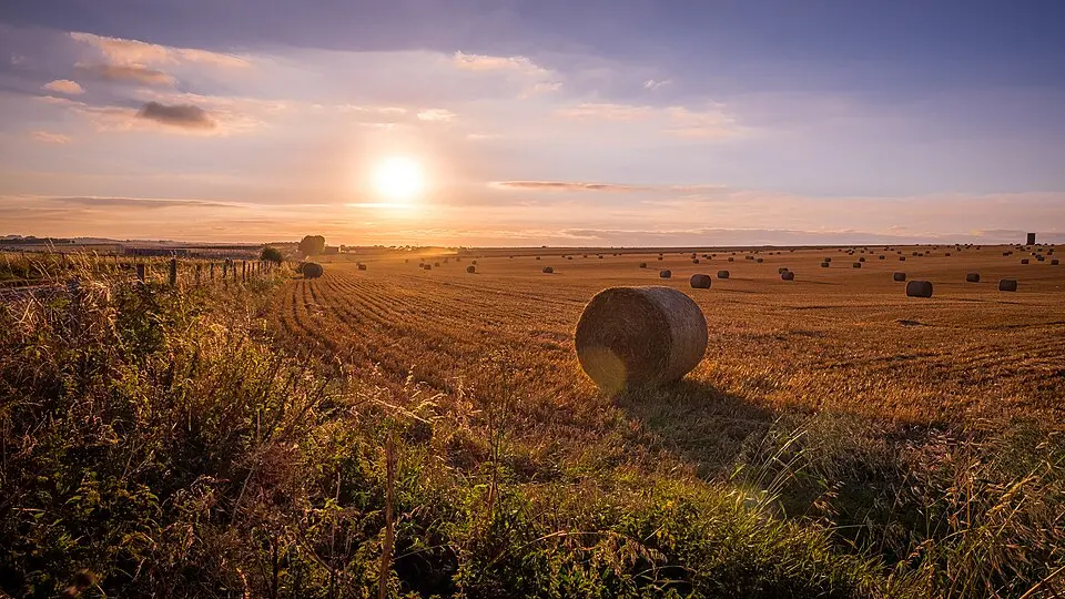 Salisbury Plain