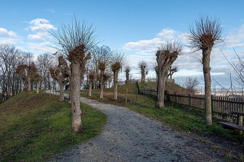 Immagine: Isiwal · CC BY-SA 4.0 Georgenberg