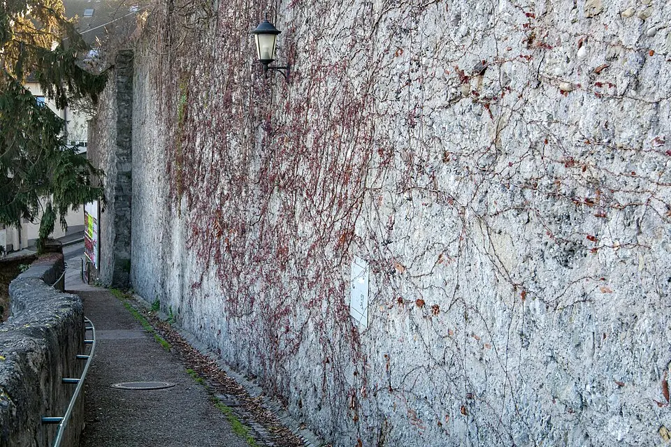 Teilstück der Stadtmauer