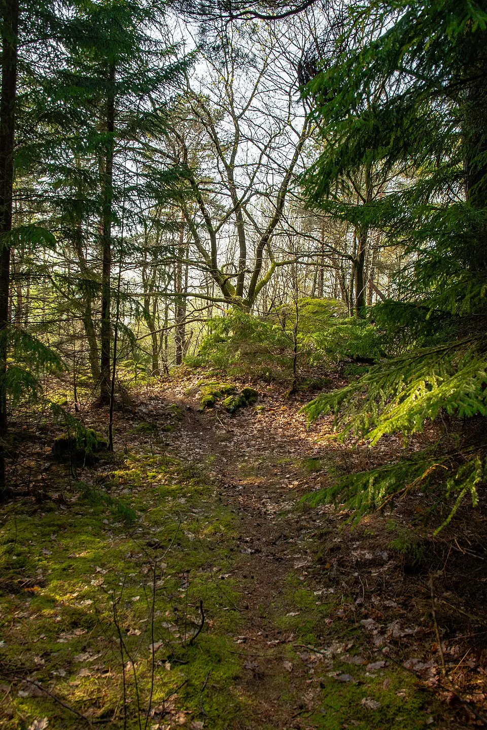 Knipeflågsbergen