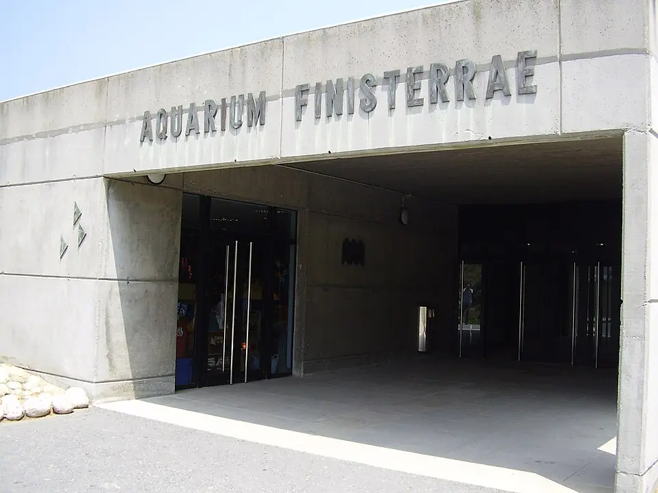 Kép: Marcus · CC BY-SA 3.0 Aquarium Finisterrae