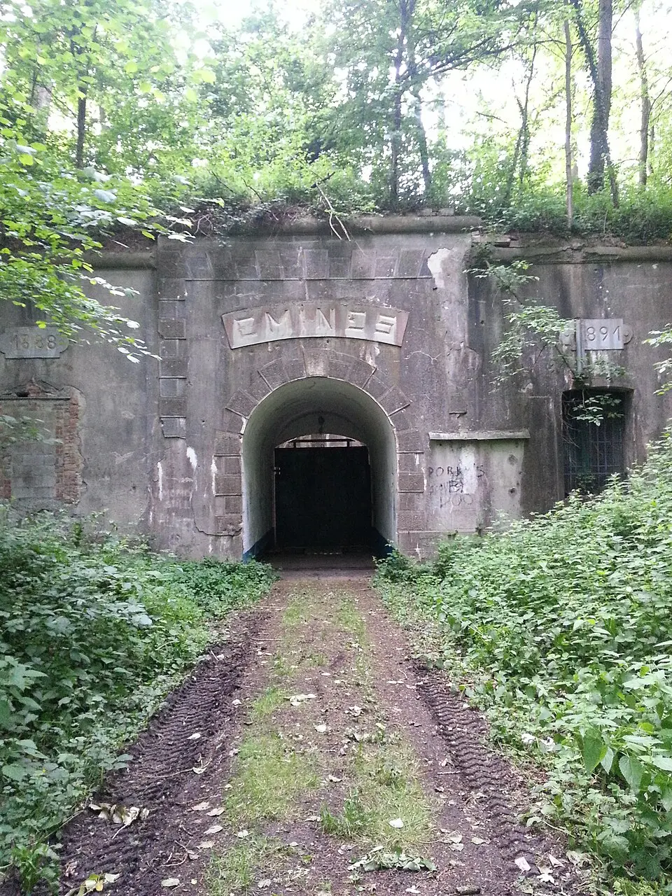 Fort Emines