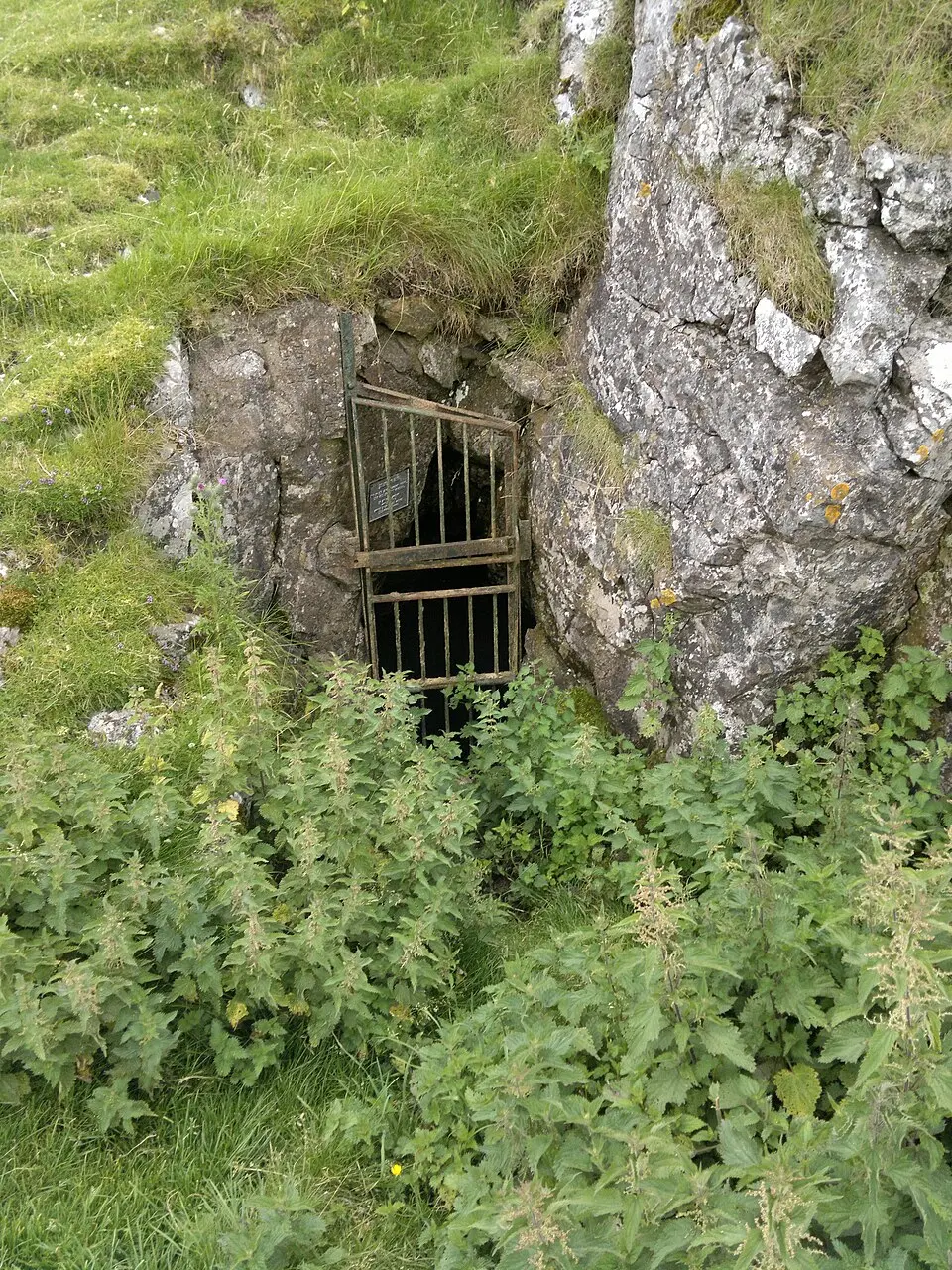 Fox Hole Cave
