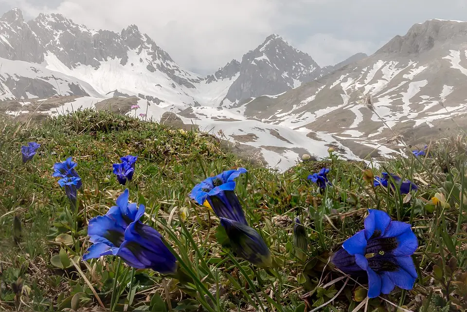 Flexenspitze