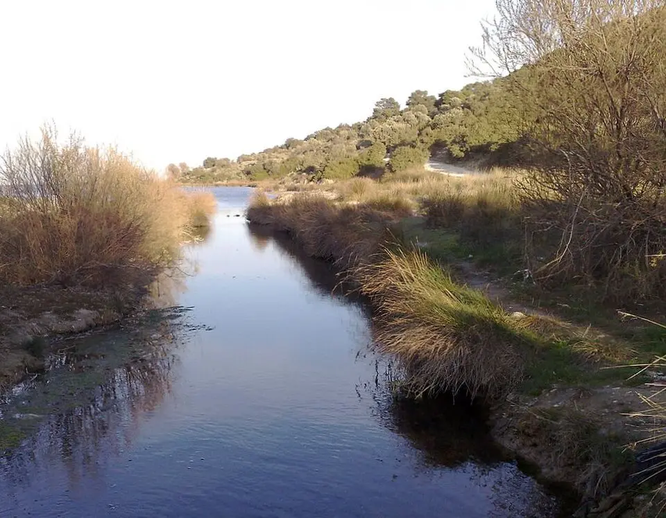 Erasinos
