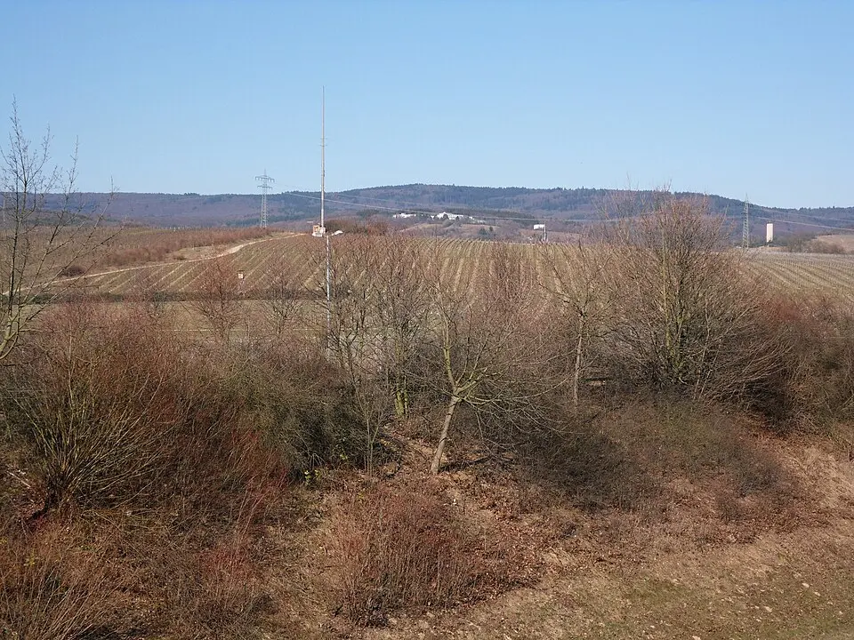 Erbacher Kopf