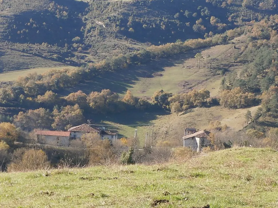 Erbi