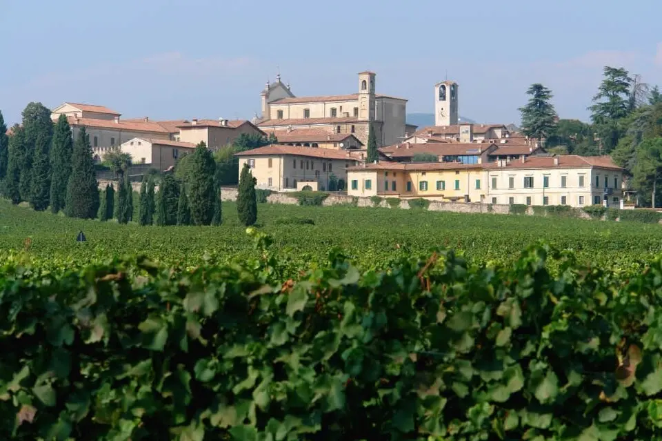 Immagine: Bertazzonipaolo · CC BY-SA 3.0 Erbusco