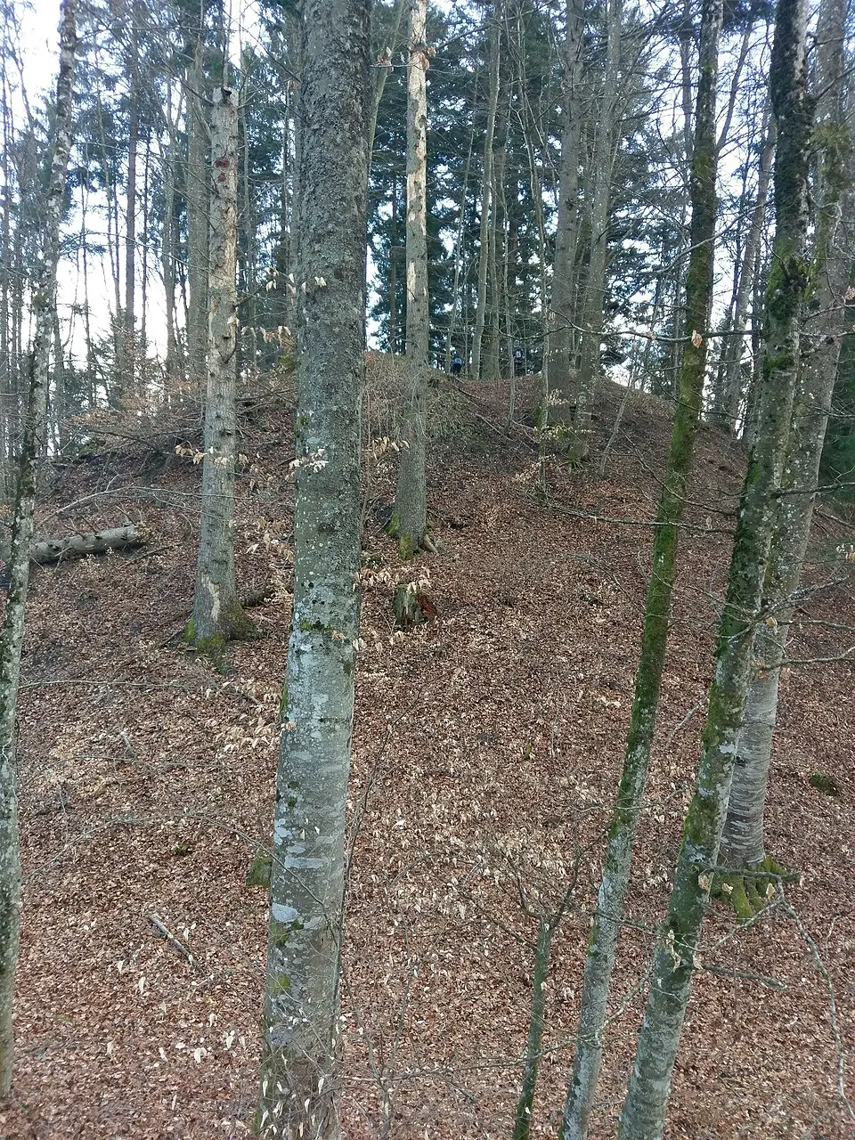 Burg Hardeck