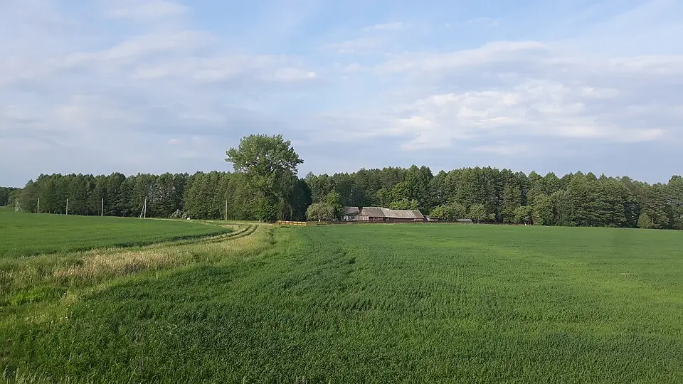 Svirydavičy