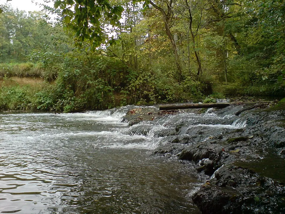 Erlenbach