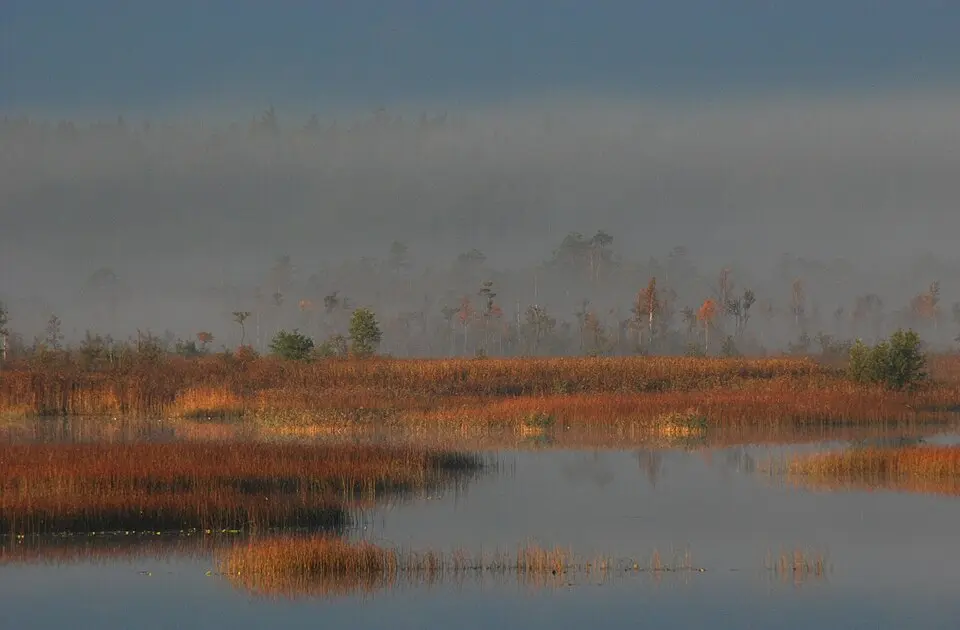 Ermistu järv