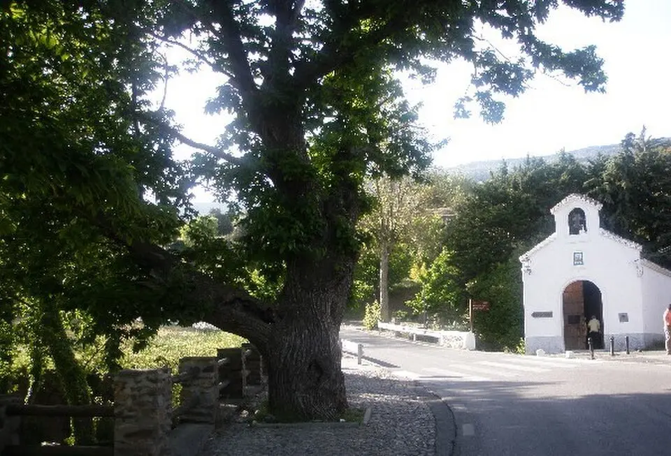 Pórtugos