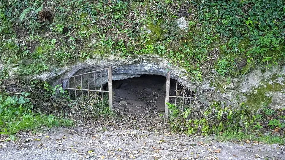 Ermitia