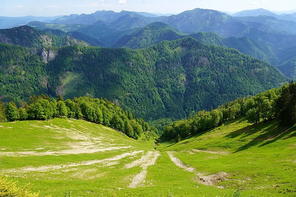 Image: Tigerente · CC BY 4.0 Großer Quenkogel