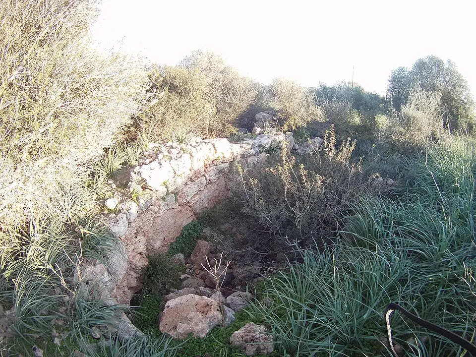 Restos prehistóricos de Es Rafal