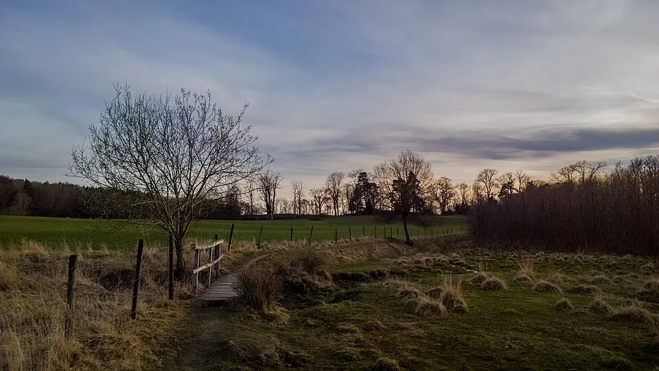 Kungshamn-Morgas naturreservat