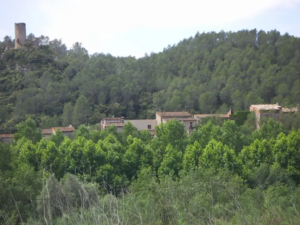 Les Escaules