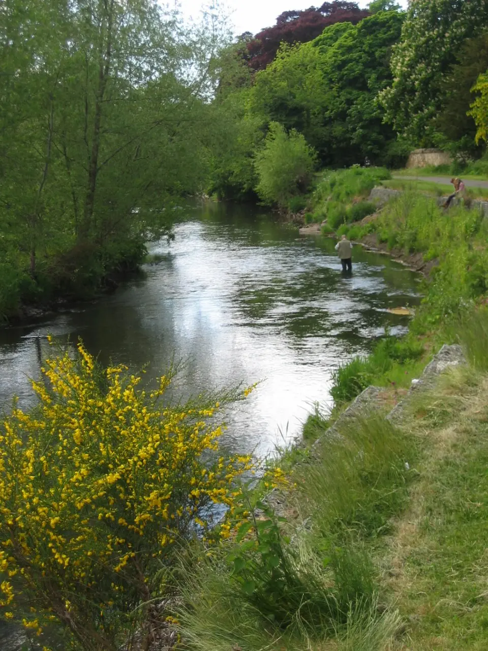 Esk (Forth)