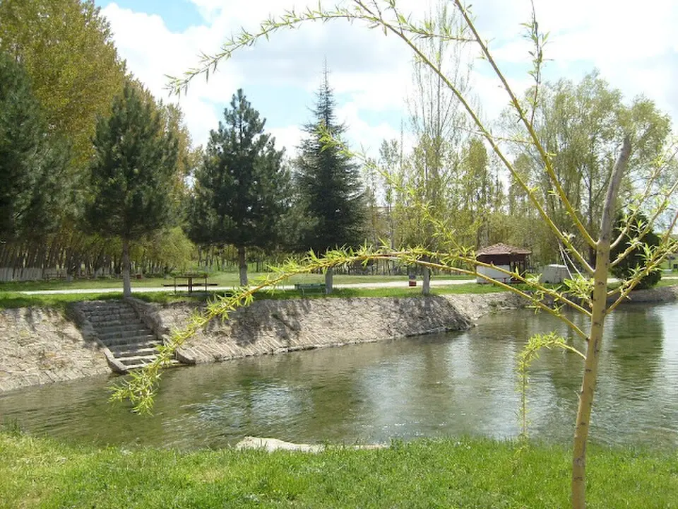 Kaymaz