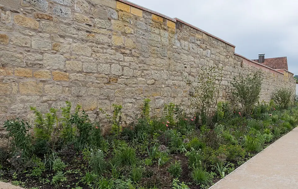 Stadtmauer in Wassertrüdingen