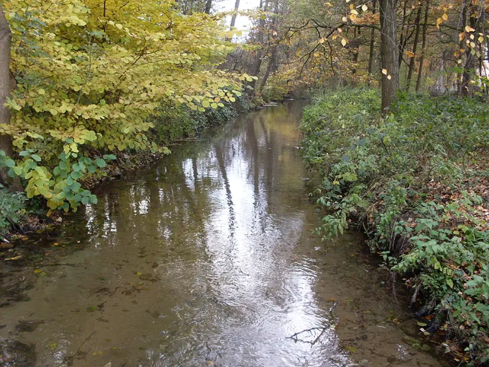 Furlbach