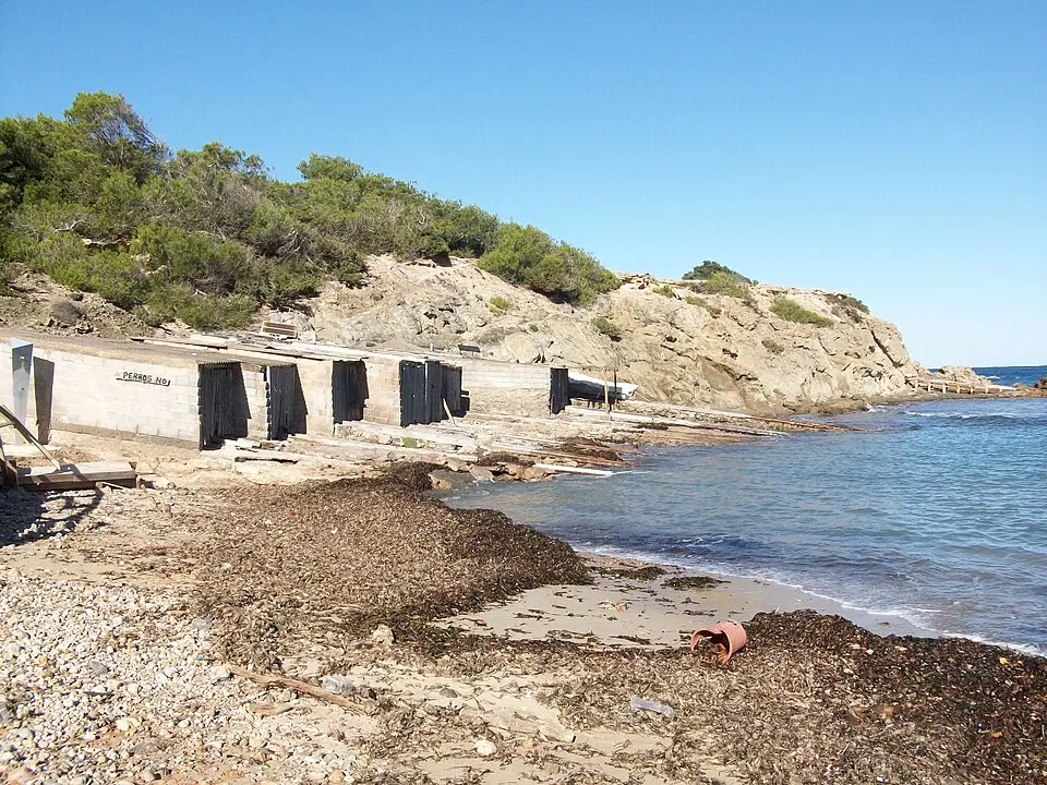 Platja Pou d’es Lleó