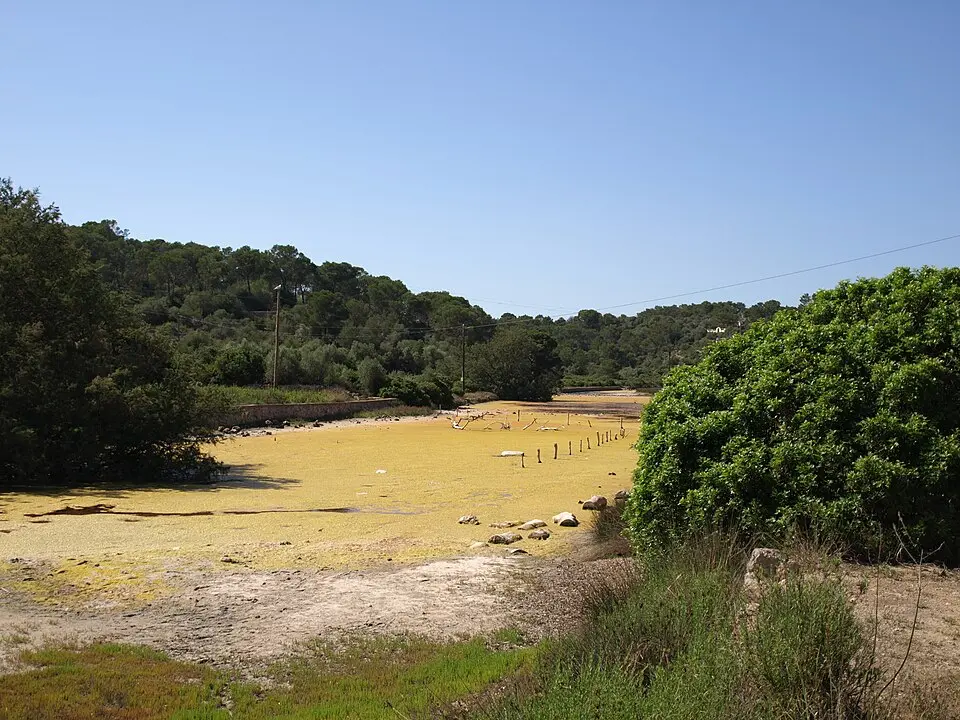 Parque natural de Mondragón