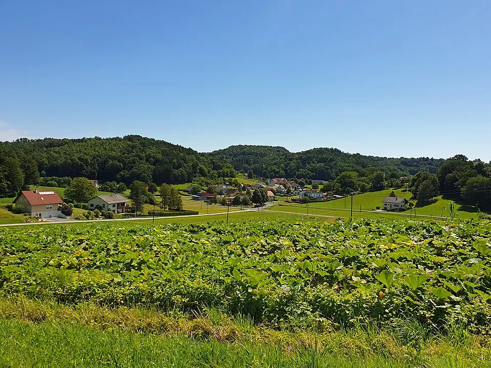 Tauka