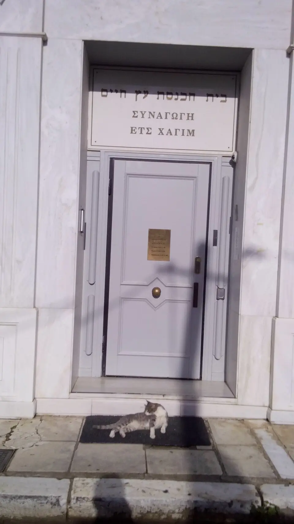 Συναγωγή Ετς Χαγίμ