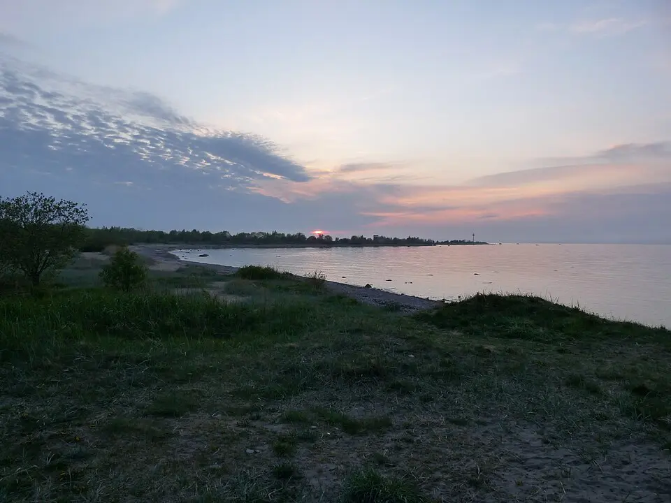 Paljassaare