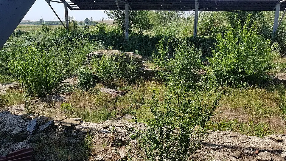 Situl arheologic „Cetatea Dinogetia”