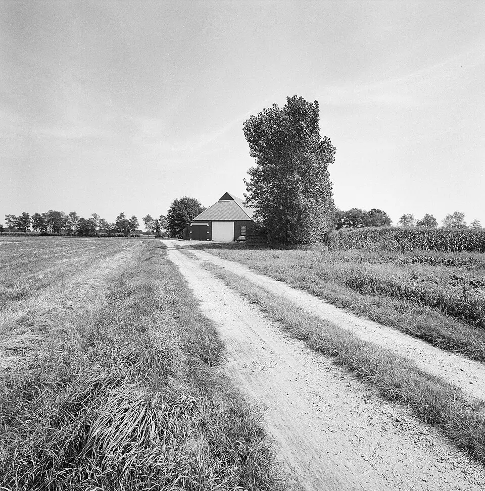 Bruinehaar