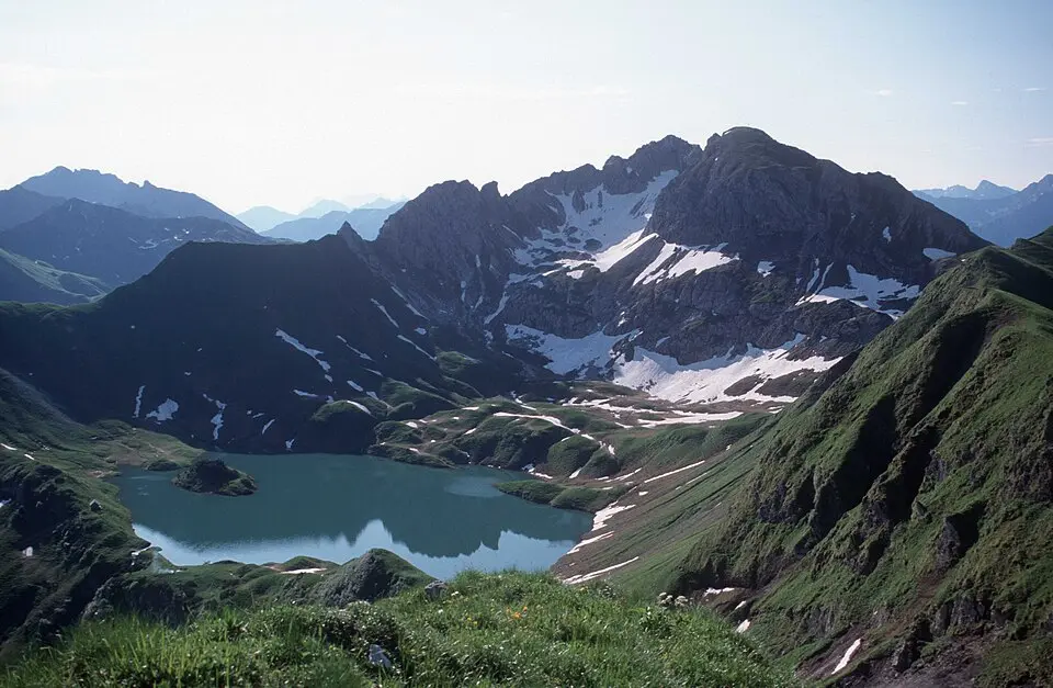Westlicher Kastenkopf
