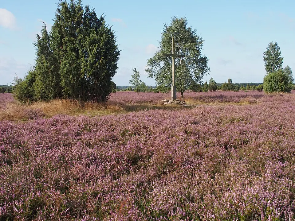 Parc naturel de Südheide