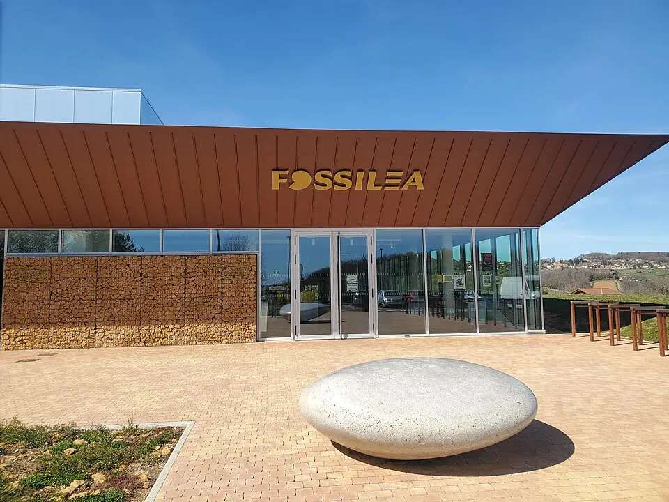 Fossilea